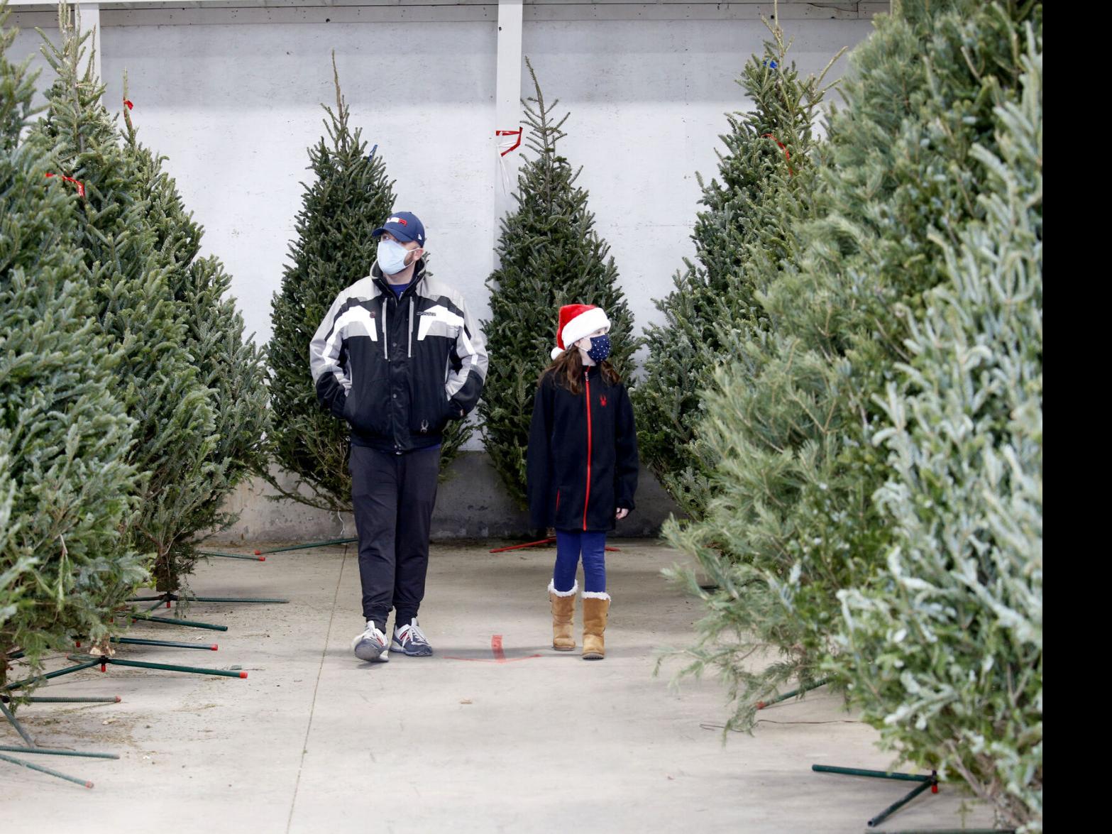 Buffalo Creek Christmas Tree Cutting 2021