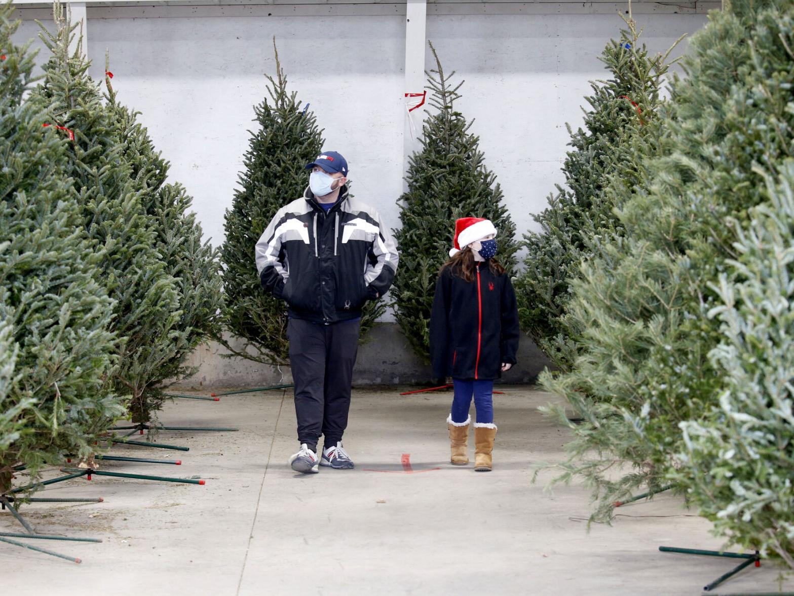 One Tradition Not Trounced By Covid Cut Your Own Christmas Tree Local News Buffalonews Com Buffalo Creek Christmas Tree Cutting 2021
