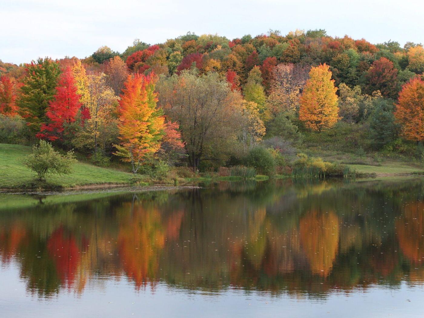 The Leaves May Fall But Temperatures Rise Columnists Buffalonews Com The Leaves May Fall But Temperatures Rise Columnists Buffalonews Com