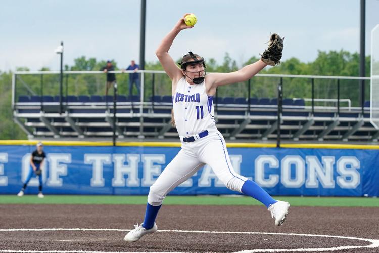 Clarence, Gowanda honored at softball AllStar Game; Sarow/Weiss Cup