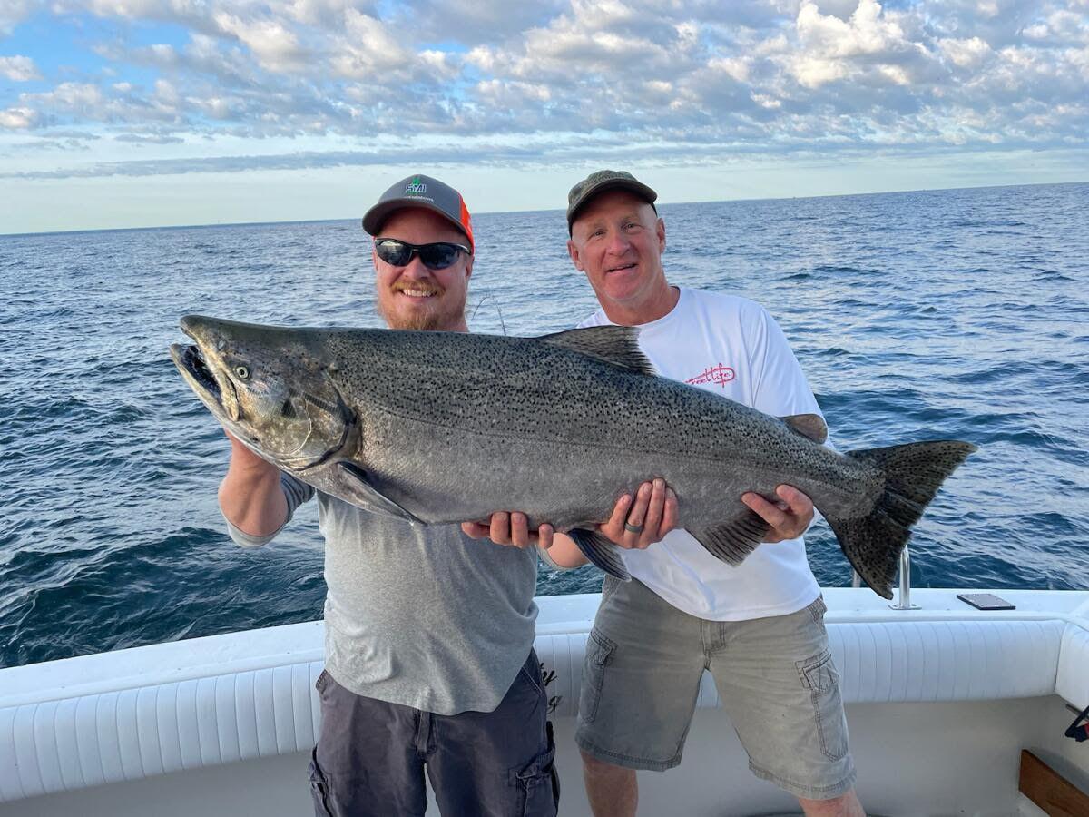36 pound salmon
