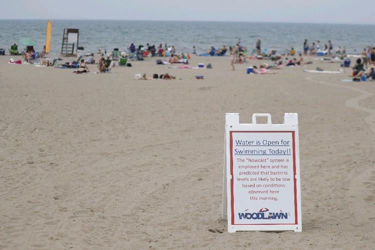 It's been a bad year for safe swimming at Woodlawn or has it?