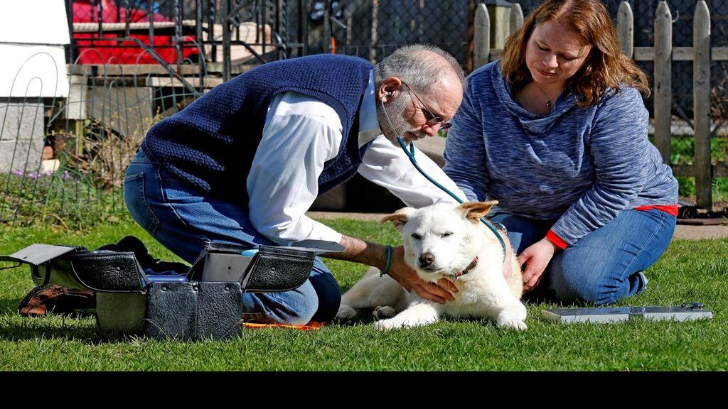 Lap Of Love Brings End Of Life Care To Pet Owners Homes Local News Buffalonews Com