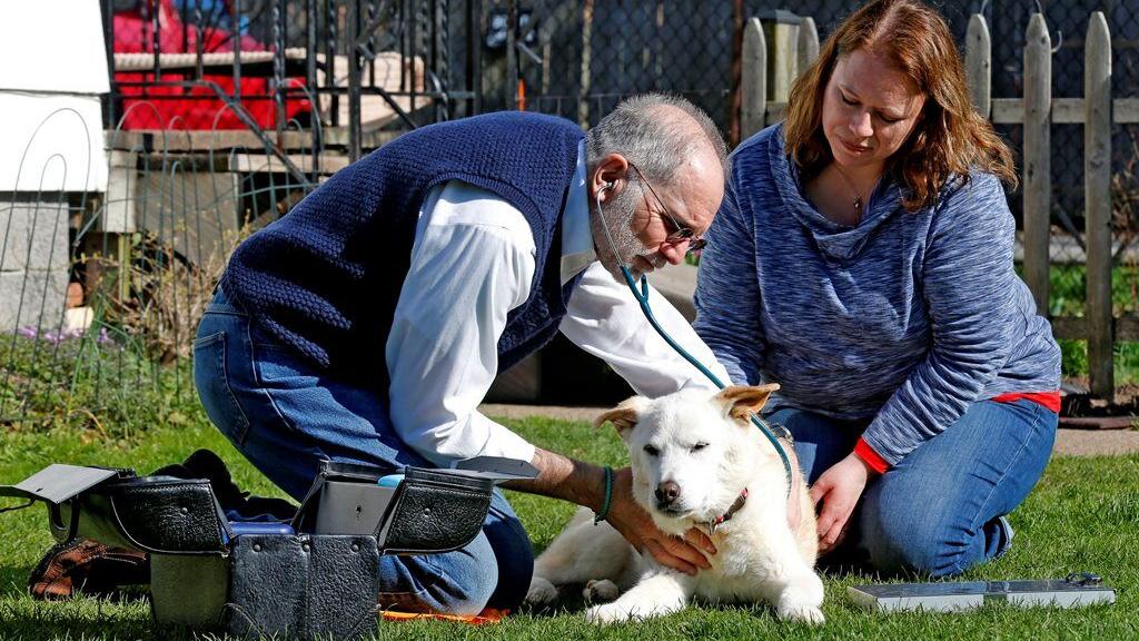 Lap Of Love Brings End Of Life Care To Pet Owners Homes Local News Buffalonews Com Lap Of Love Brings End Of Life Care To Pet Owners Homes Local News Buffalonews Com
