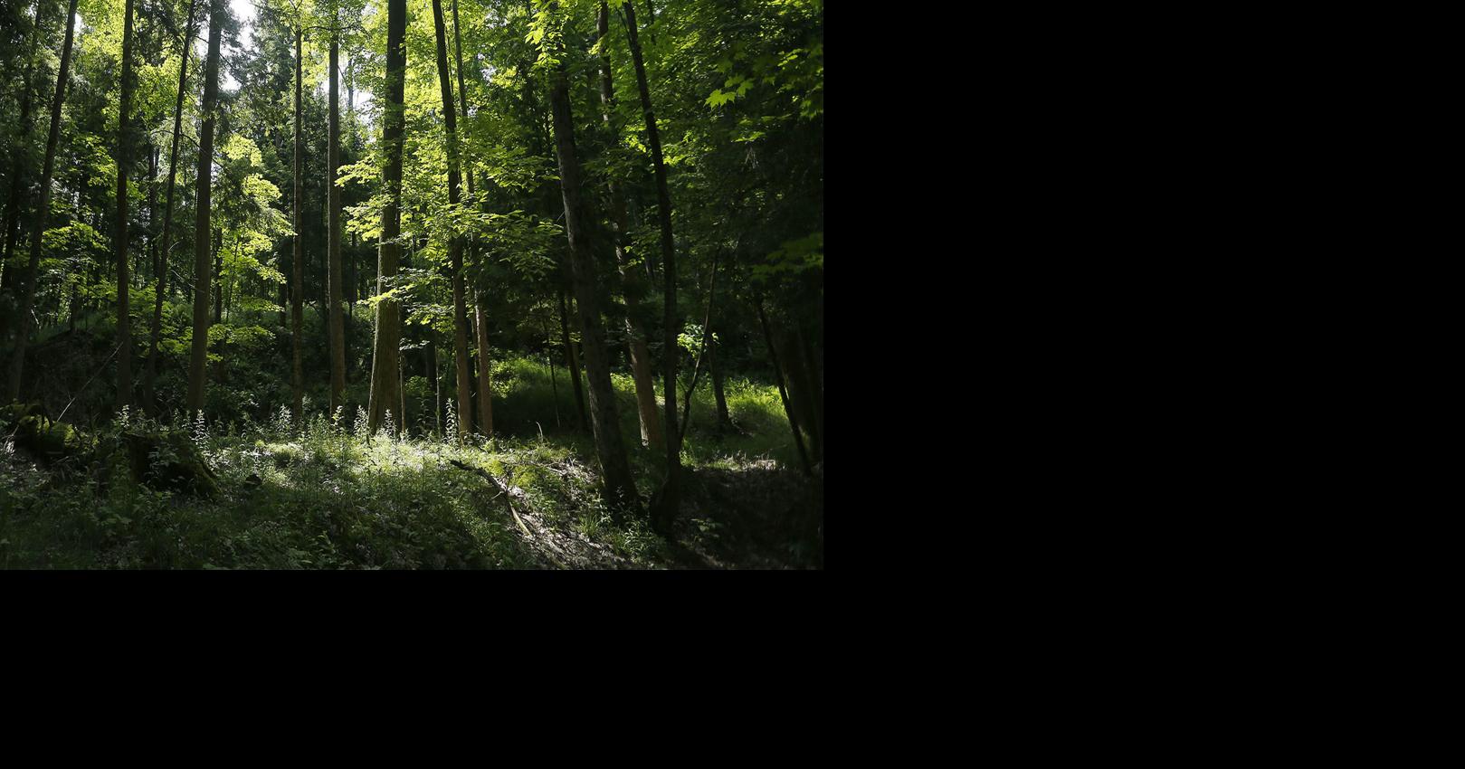 Mossy Point in Wales opens to the public