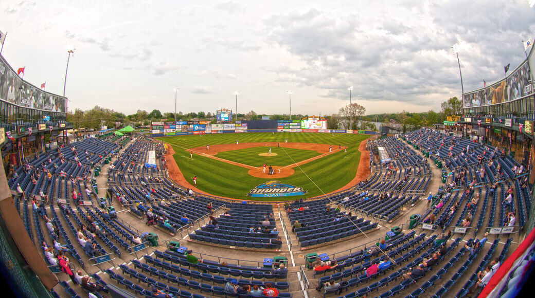 Baseball returns to Trenton: Thunder will host Buffalo Bisons, Triple-A  affiliate of Toronto Blue Jays 