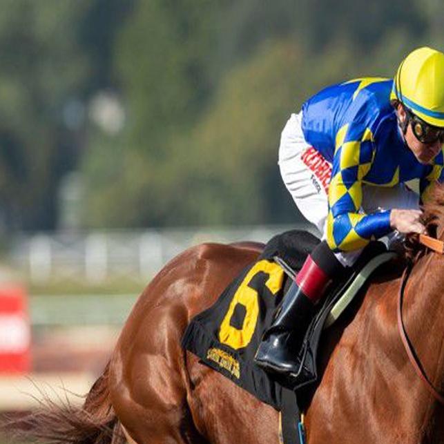 Split Divisions In Arkansas Highlight Big Day Of Horse Racing Buffalo Sports Buffalonews Com