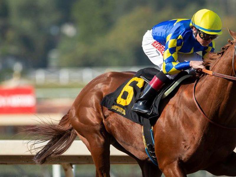 Split Divisions In Arkansas Highlight Big Day Of Horse Racing Buffalo Sports Buffalonews Com