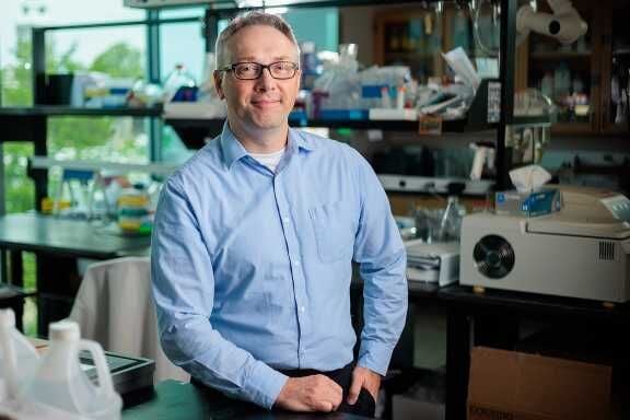Painful neuropathy affects quality of life – sometimes long-term for cancer patients