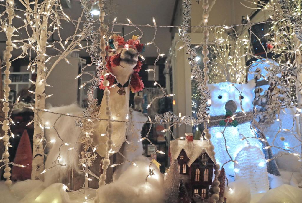 Hertel Christmas Walk 2022 Festivities On Foot: Take A Walking Tour Of Holiday Windows | Entertainment  | Buffalonews.com