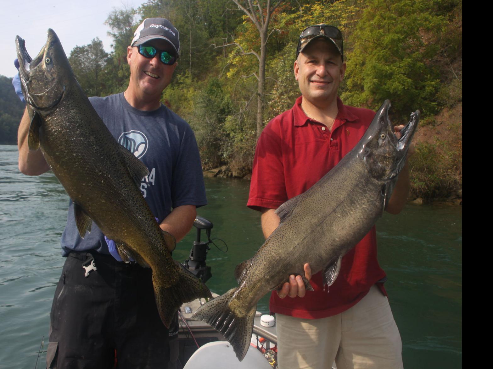 What Is Happening With This Year S Salmon Run In The Niagara River Buffalo Sports Buffalonews Com