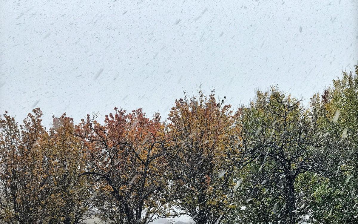 Buffalo S Forecast For Saturday Includes That Word Snow Forecasts Buffalonews Com