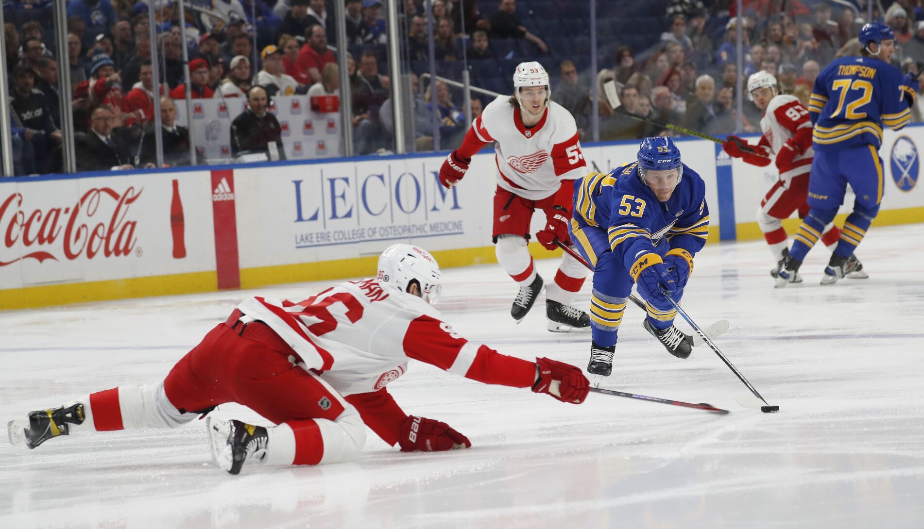 Photos: Sabres Fall Against Red Wings Despite Late Surge