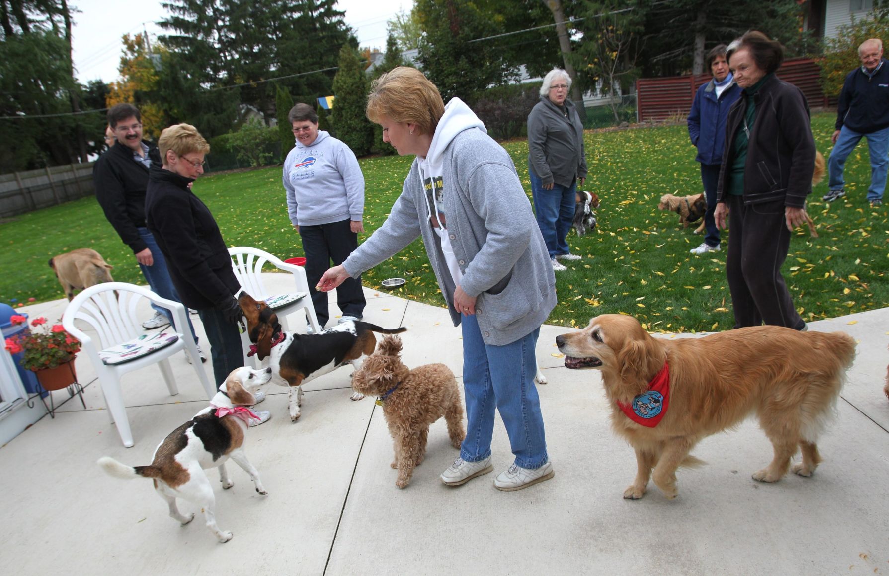 dog walking group near me