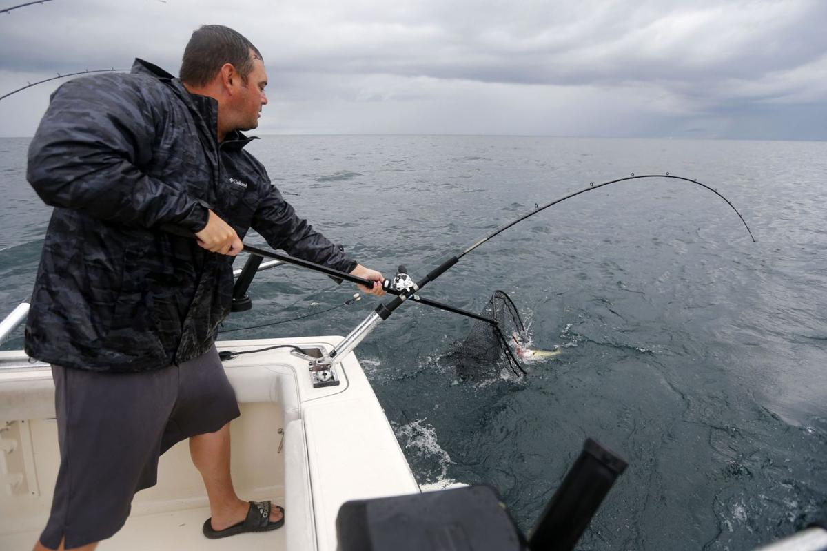 Buffalo S Lake Erie The Cool Place Literally For Walleye To