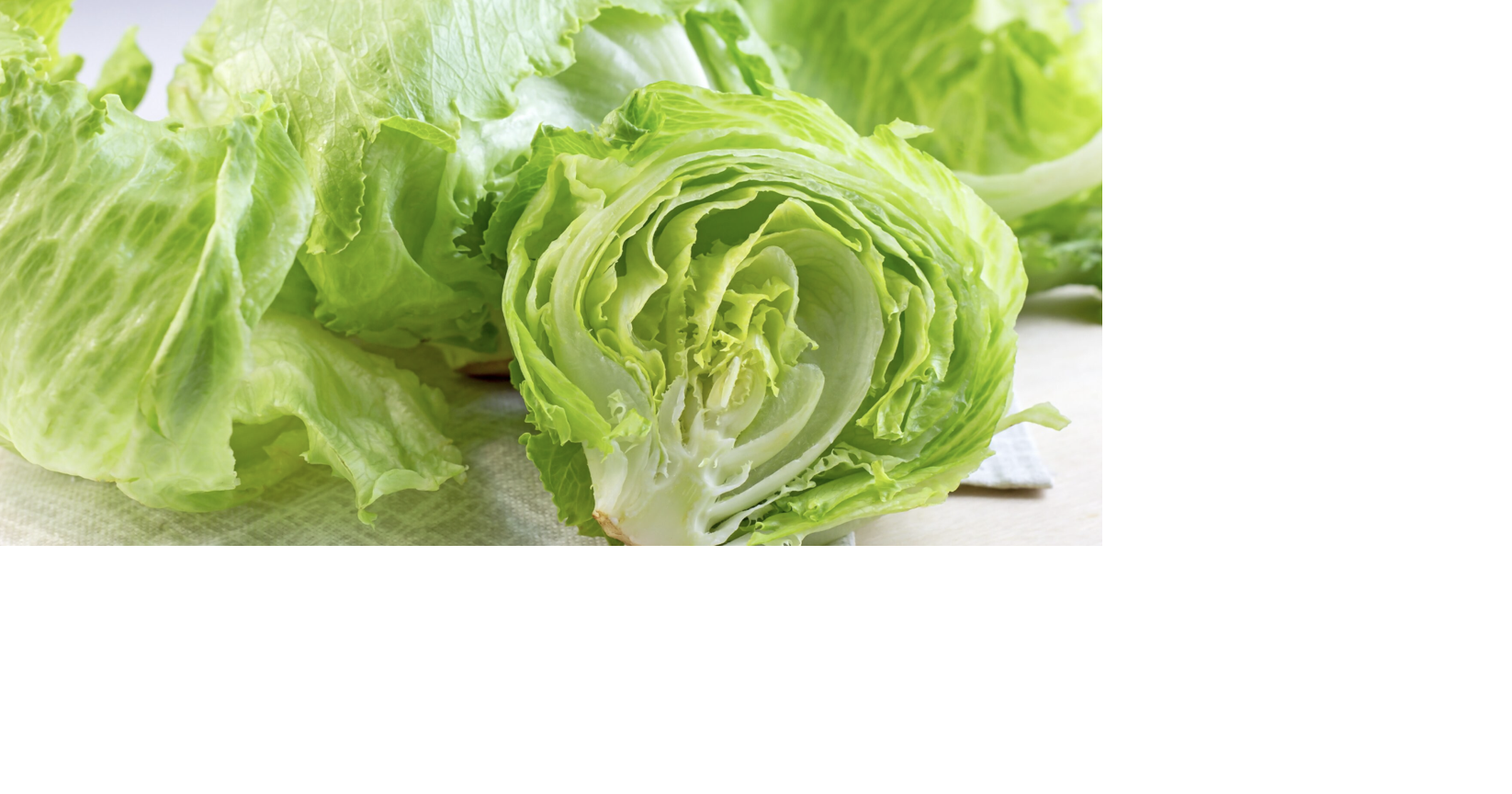 Sorting through the mixed messages on cyclosporiasis in lettuce | PolitiFact