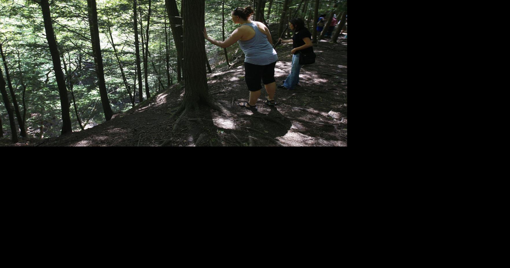 Chestnut Ridge Park trail still popular after fatal fall