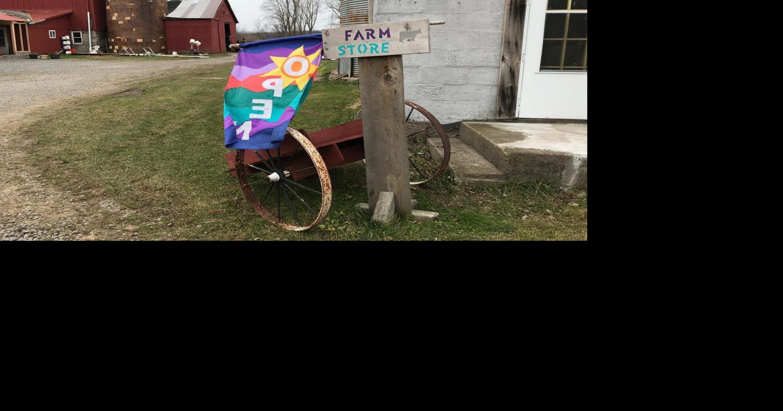 At Teacup Farm, minimal intervention is key to peerless dairy