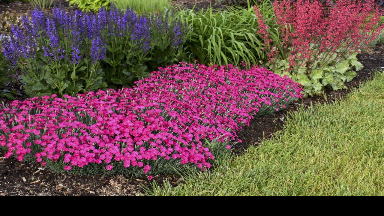 Sally Cunningham Your Garden S Calling Home Garden Buffalonews Com