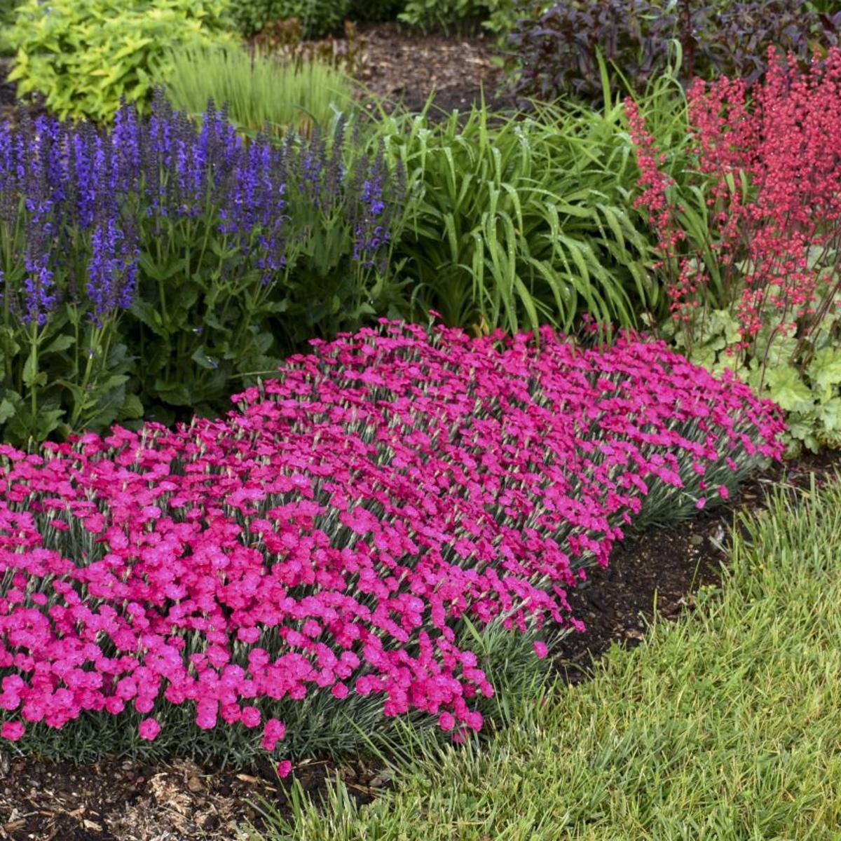 Sally Cunningham Your Garden S Calling Home Garden Buffalonews Com