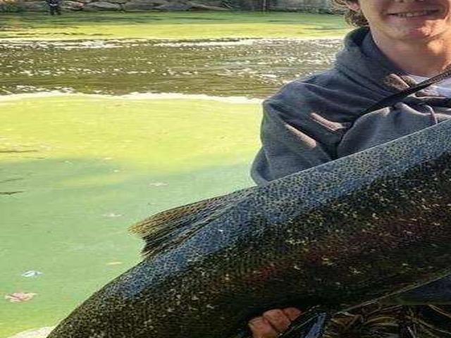 Using Tips Pays Off For Lake Erie Angler Outdoors Buffalonews Com