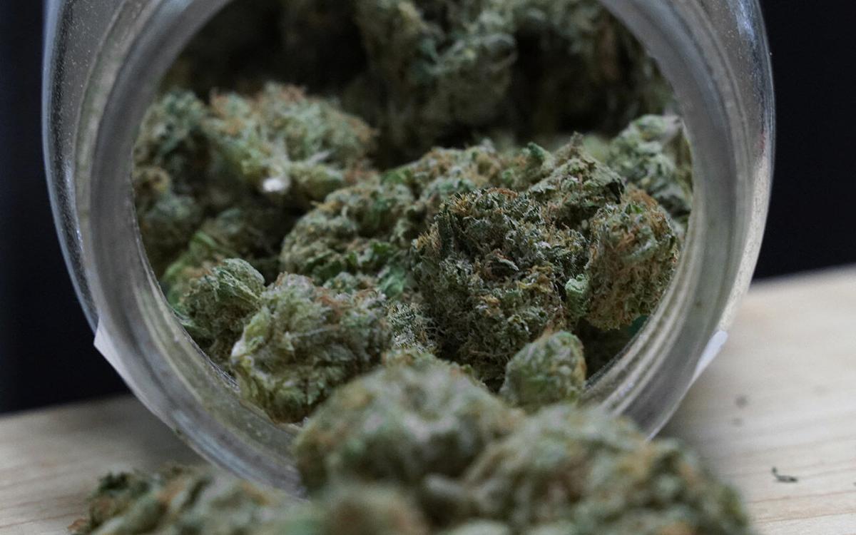 Marijuana Licenses