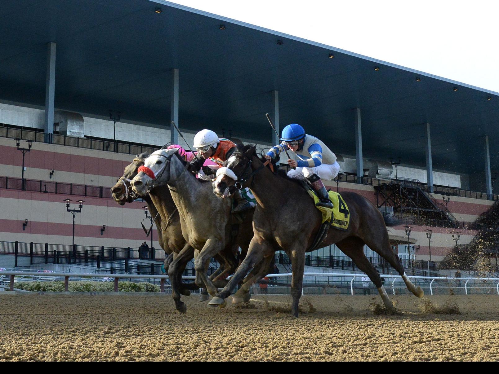 horse racing continues even when everything else has shut down local news buffalonews com
