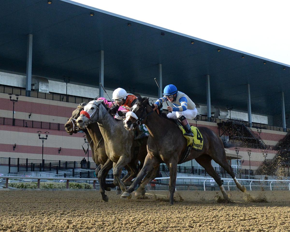 horse racing continues even when everything else has shut down local news buffalonews com
