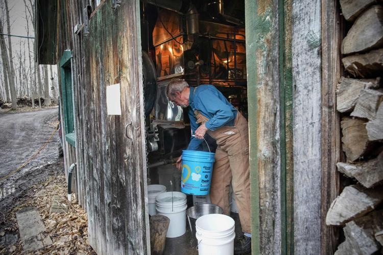 It's maple syrup time 'We tapped most of our trees on snowshoes'
