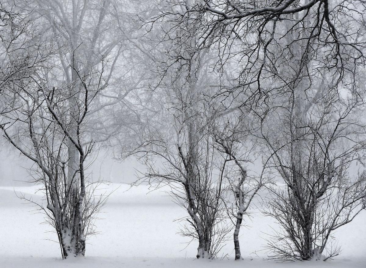 Say It Isn T Snow As Much As 3 Inches Forecast In Metro Buffalo