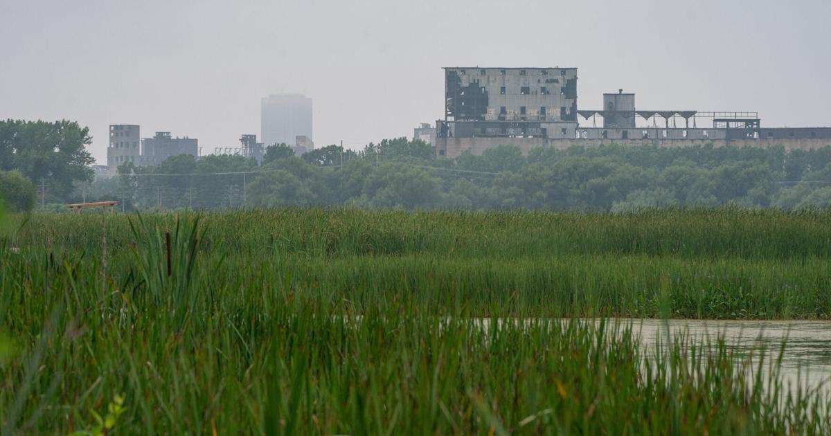 Who's reading what? Here are the 5 most popular Buffalo News stories from the week