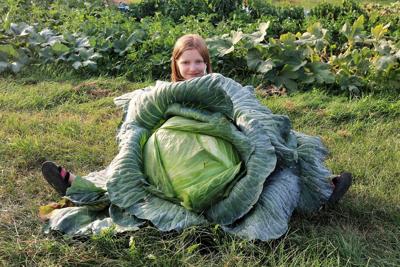 Kara Hassenfratz and cabbage