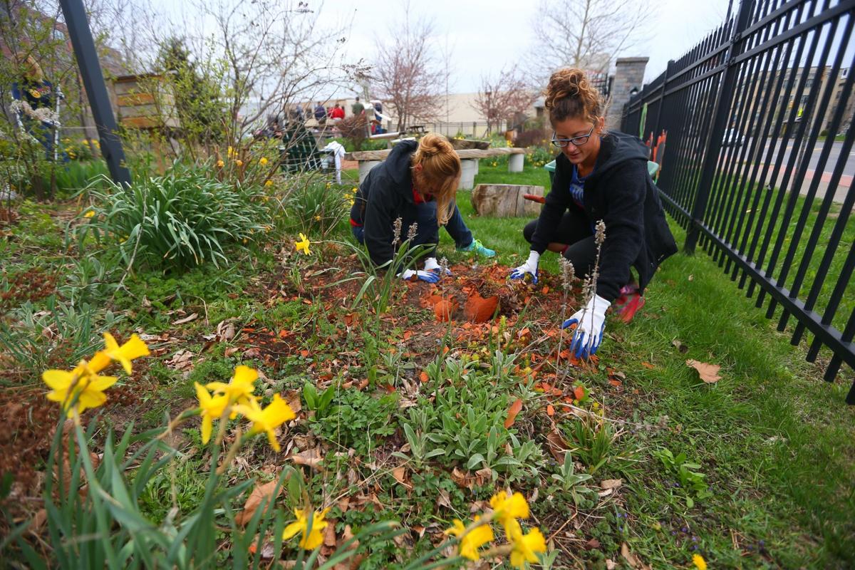 Earth Day events span April and May in Buffalo | Local News ...