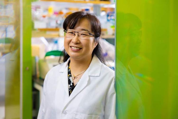 Media Advisory: UB symposium to spotlight researcher behind FOXG1 drug undergoing clinical trials