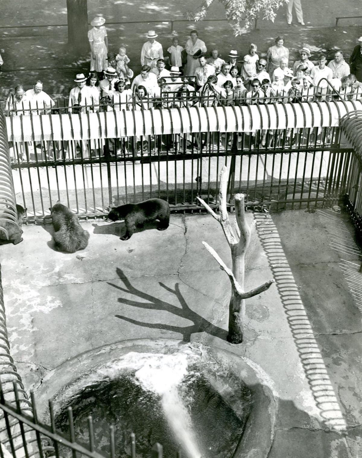 From the archives the Buffalo Zoo Multimedia