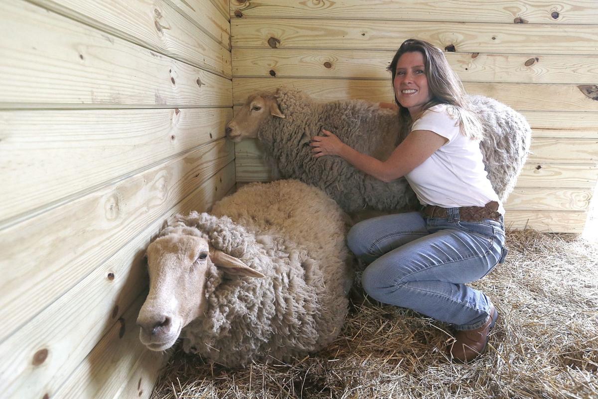 Tracy Murphy Leaves Corporate World To Save Animals Local News Buffalonews Com