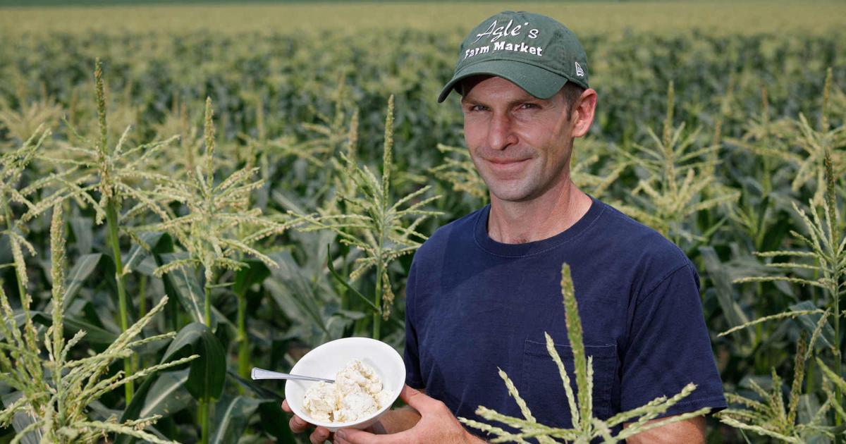 Edison Corn Sweet corn ice cream on tap for Eden Corn Festival