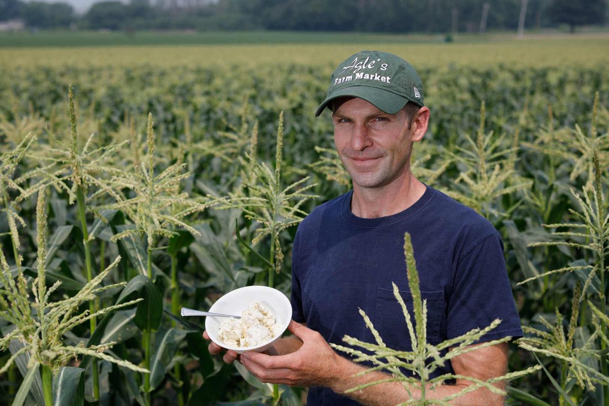 Sweet corn ice cream on tap for Eden Corn Festival