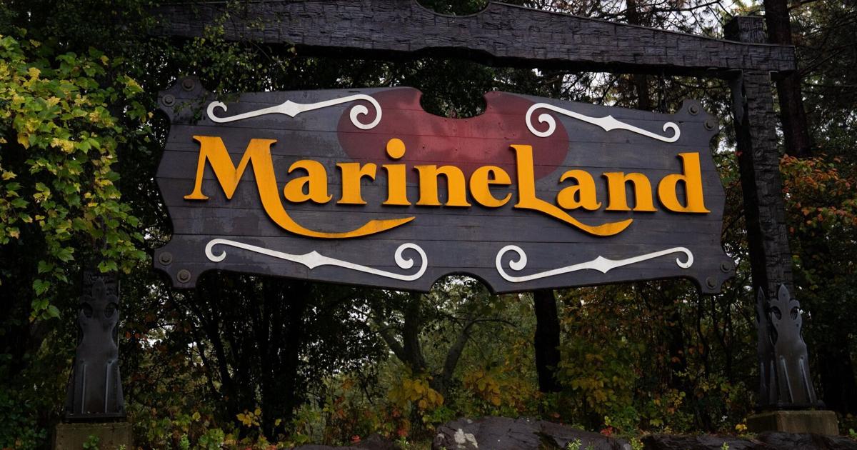 Advocates worried about transfer of Marineland belugas
