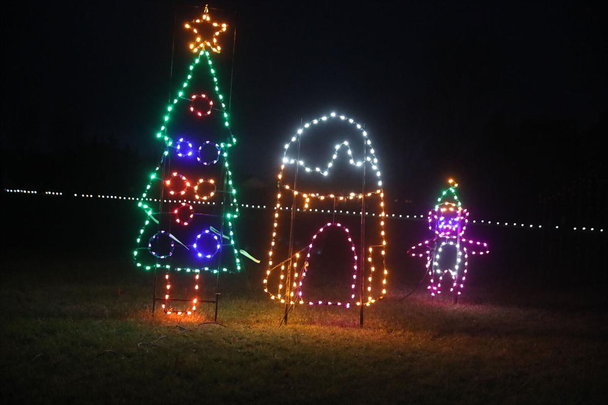 Christmas Tree display (copy) Buffalo/Niagara Holiday Lights Show