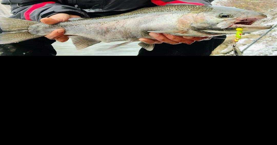 Scattershots WNY chapter of Trout Unlimited meeting set for Tuesday