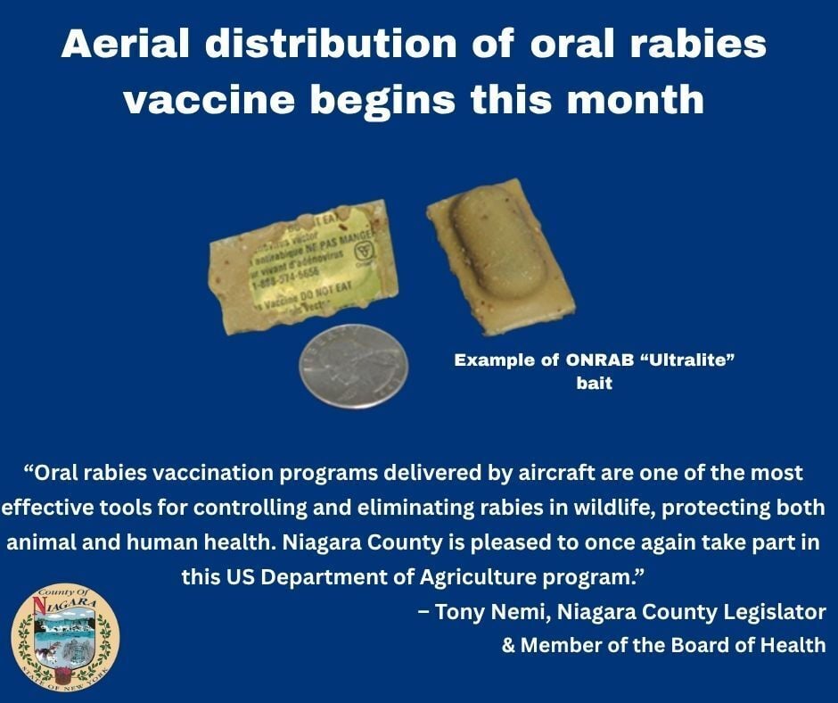 Niagara County Department of Health Joins Cooperative Effort to Prevent Raccoon Rabies Spread
