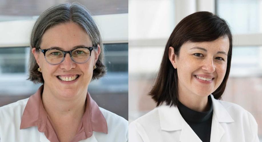 JAMA Review by Roswell Park Experts Details Rising Endometrial Cancer Rates, Impact of New Precision Treatments