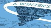 Books In Brief A Winter S Promise The Mirror Visitor Book 1 By