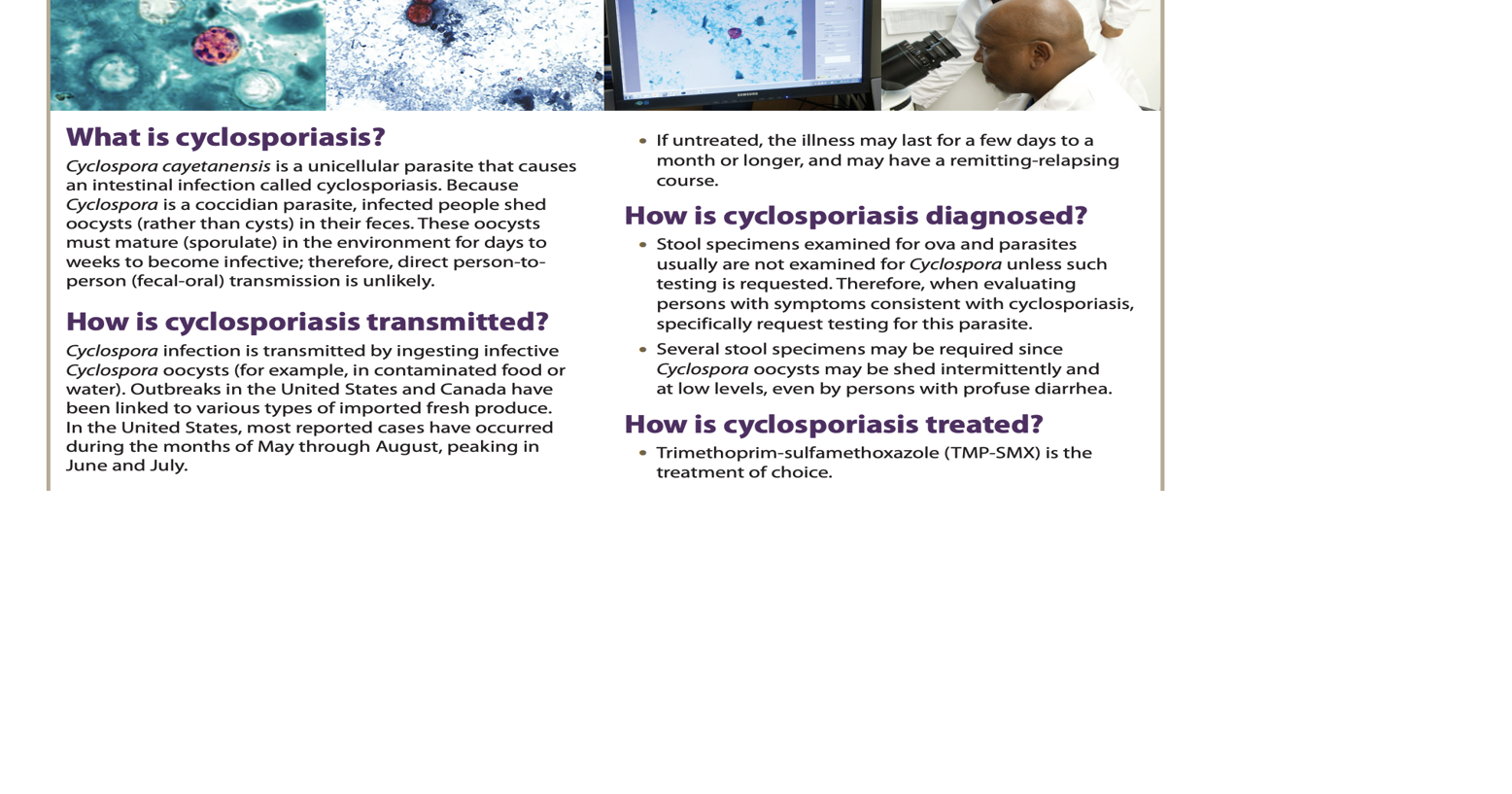 Read the CDC's Cyclosporiasis Fact Sheet