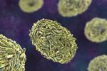 Western New York health officials dealing with monkeypox threat and a messaging challenge