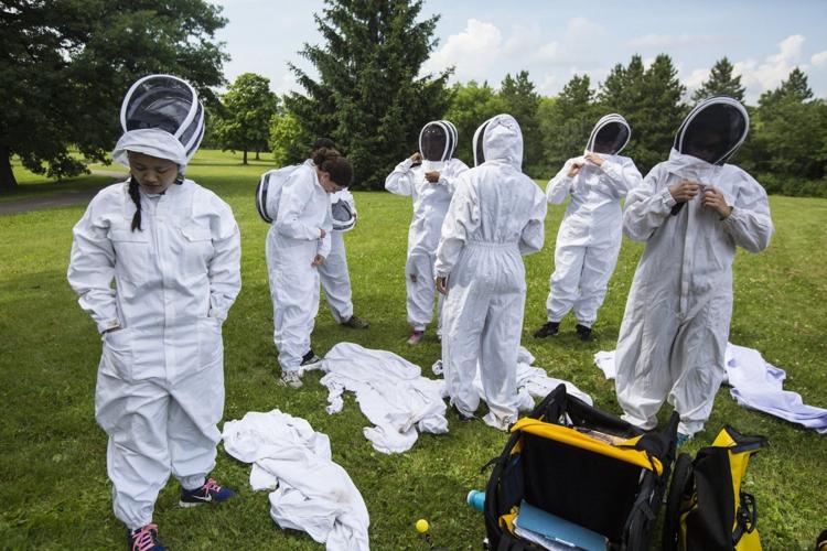 Beekeepers Confront the E.P.A. Over Pesticides - The New York Times