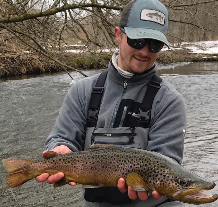 brown trout