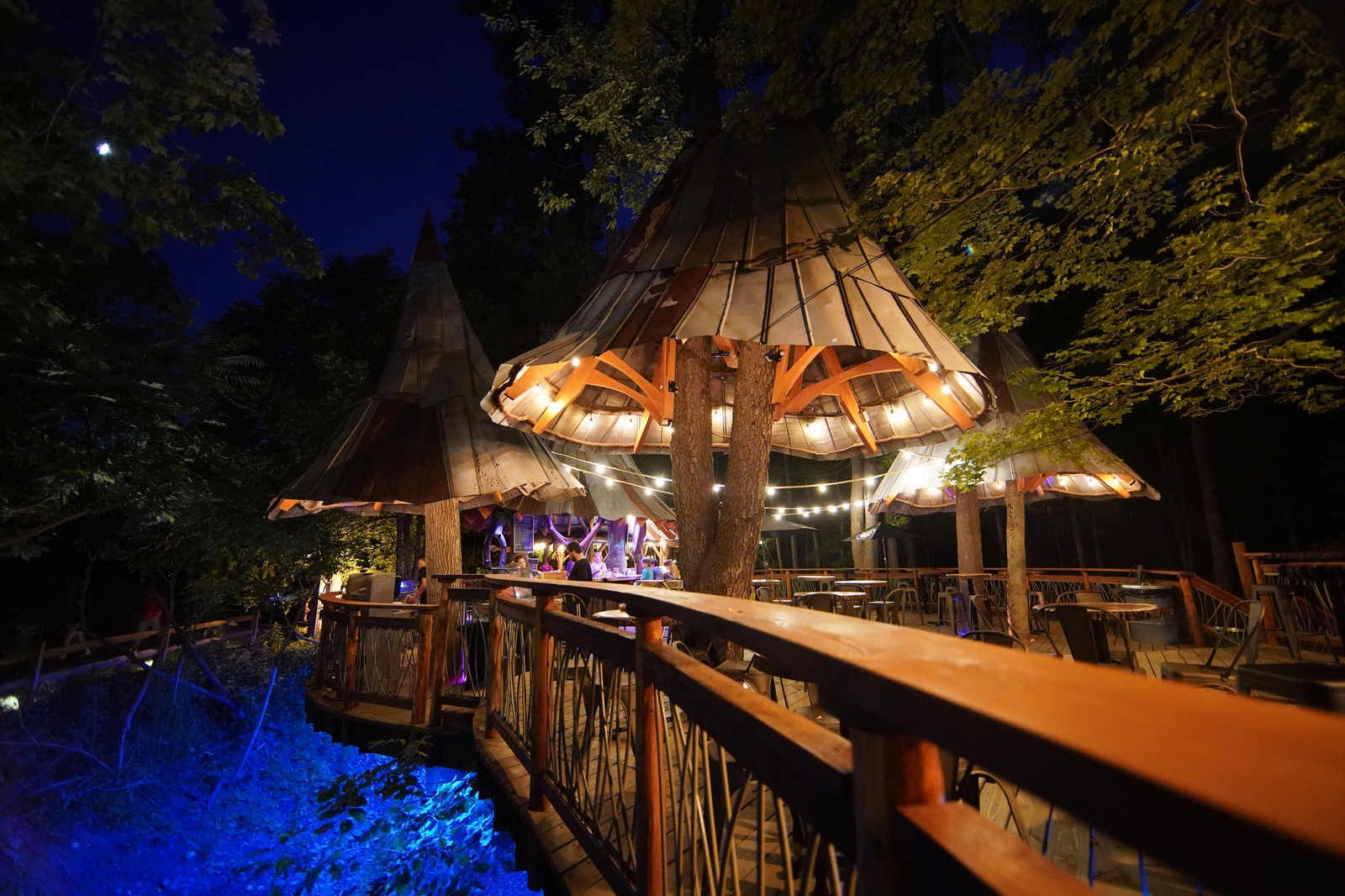 For Blueberry Treehouse Farm The Area S First Treehouse Cafe The Sky   62c6f094a5b73.image 