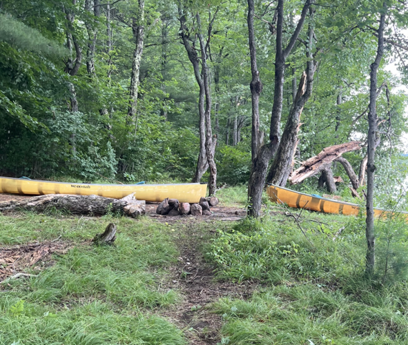DEC Forest Rangers – Week in Review